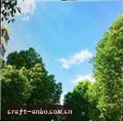 陈茜
